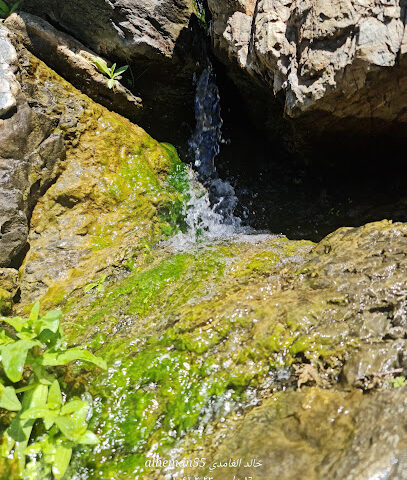 الحبيش - Al Bahah -