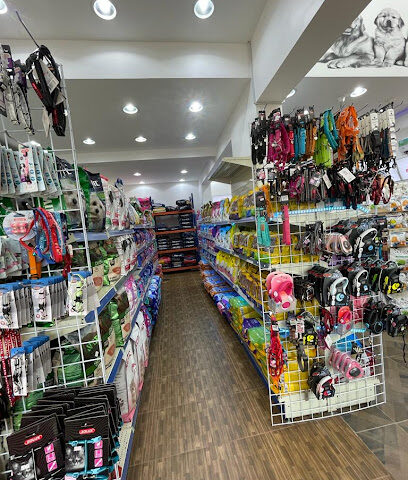 Golden Cat Store for Pet Supplies - Jeddah - +966 56 613 8829