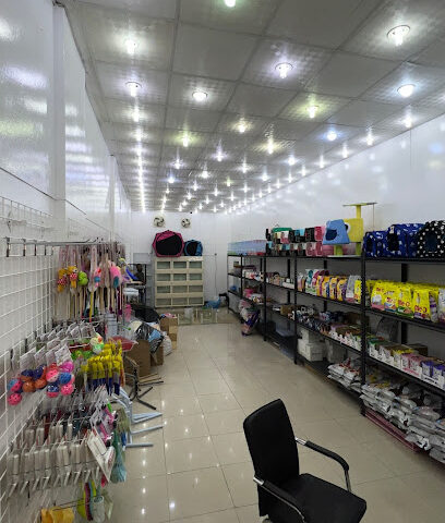 قطط الجنوب - Khamis Mushait - +966 53 937 6914