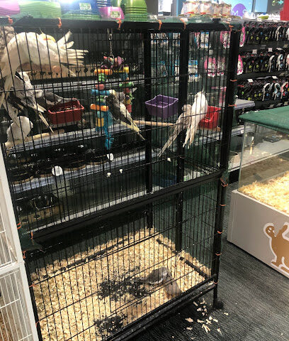 بتلاند | Petland - Jeddah - +966 9200 11973