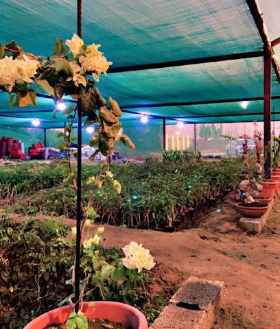 مشتل النور ️ - Abu Arish - +966 50 673 6900
