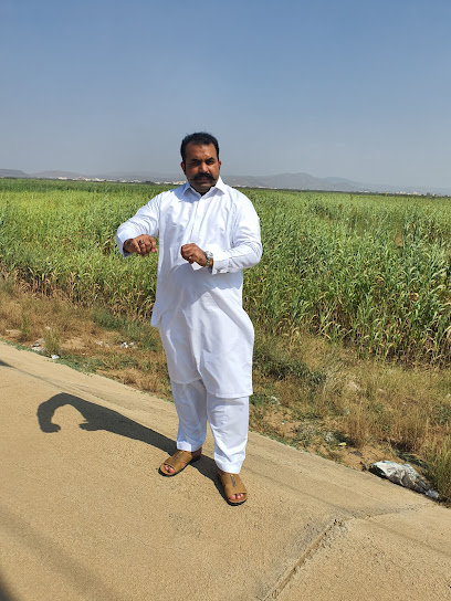 Asad Ali Cheema Park - Saudi Arabia|Abu Arish 84216|Unnamed Road|XR5X+3V2