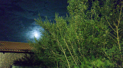 مزرعة الجوهرة - Hafar Al Batin -