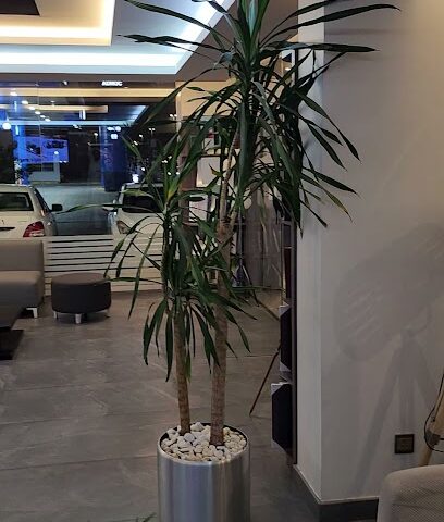 ستديو و معمل أبو عبدالعزيز - Dammam -