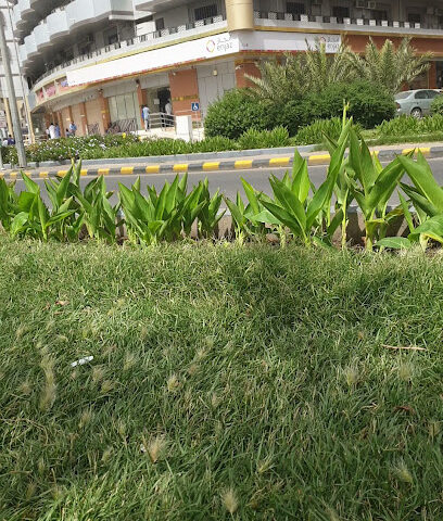 Western Union - Abha - +966 17 229 0271