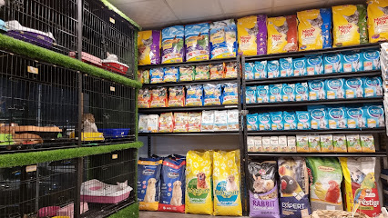 Cat zone - Dammam - +966 54 452 0542