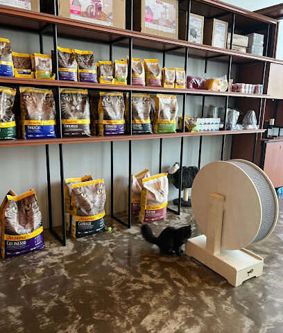 Cats castle - Abha - +966 53 373 1666