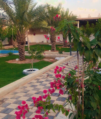 ضيافة الماجد - بريدة - +966 55 184 8555