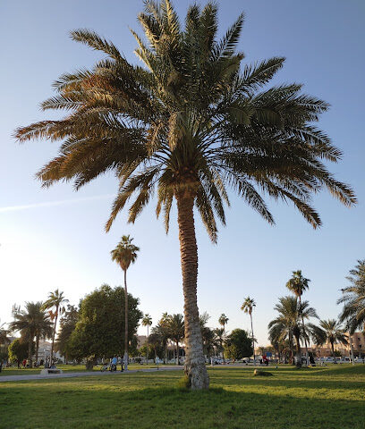 Al-itisalat park - Dammam -