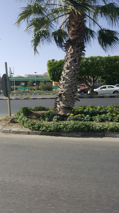 شركة الخدمات الطبية والصيدلانية بشير شكيب الجابري وشركاه المحدودة - Saudi Arabia|Abha 62581|King Fahd Rd