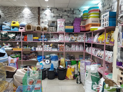 طيور الأندلس ٢ - Khamis Mushait - +966 53 255 5774