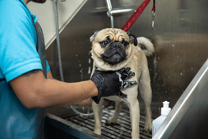 Pet Hub - Riyadh - +966 53 103 0703
