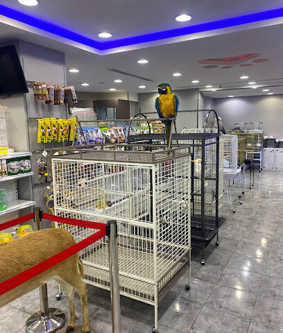 My Pets - Riyadh - +966 59 903 3499
