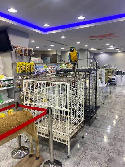 My Pets - Saudi Arabia|Riyadh 12312|Al Mathar Ash Shamali|Al Takhassousi