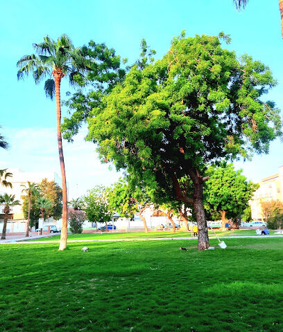 Hala Park - Jeddah -