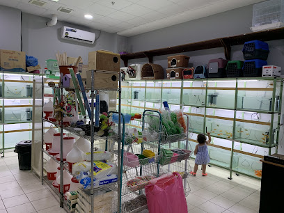 كنوز البحار - Al Khobar - +966 50 144 1583
