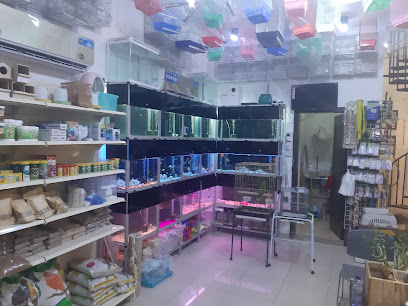 بلو بادجي للحيوانات الاليفه - Al Khobar - +966 50 333 1578