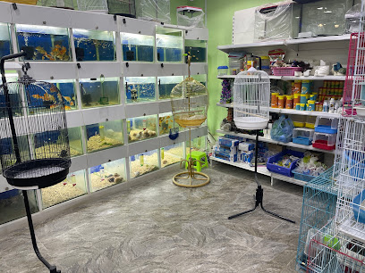 مؤسسه الشامي الحديثة - Arar - +966 50 337 7181