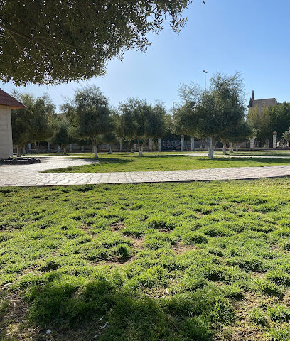Olive Park - Al Qurayyat -