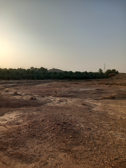 The View Park - Saudi Arabia|At Tiraq 52970|M8VF+PH4