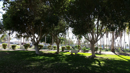 حديقة الغروب - Yanbu -