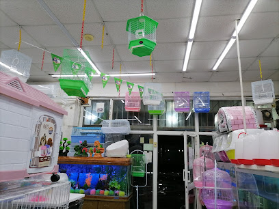Birds & Fish Ornamental Trading Est - Al Khobar - +966 50 948 8640