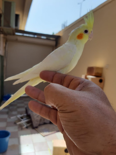 Pet store - Saudi Arabia|Riyadh 12272|King Fahd