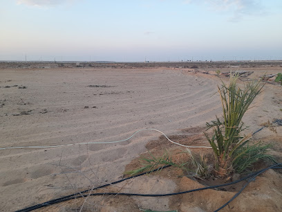 مزرعت احمد شرف - Farasan Island -