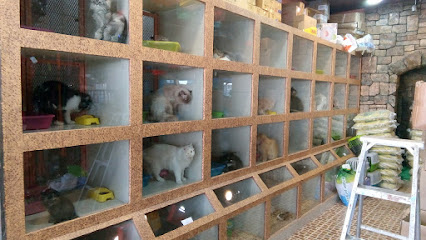 Pets Island جزيرة الحيوان - Riyadh - +966 55 331 0706