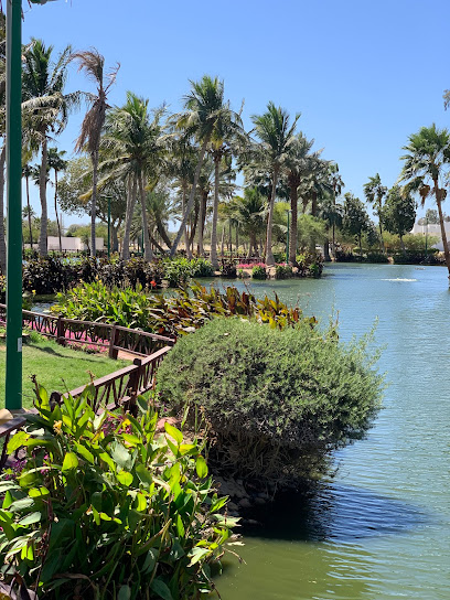 Yanbu Lake Park - Yanbu 46456