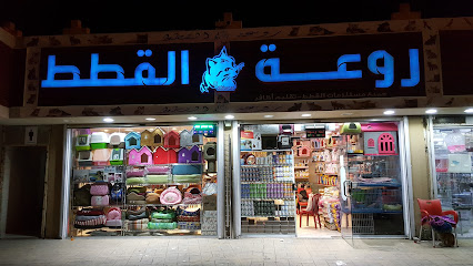 cute cats - Al Madinah Al Munawwarah - +966 54 628 0692