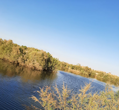 Lake - Tabuk -