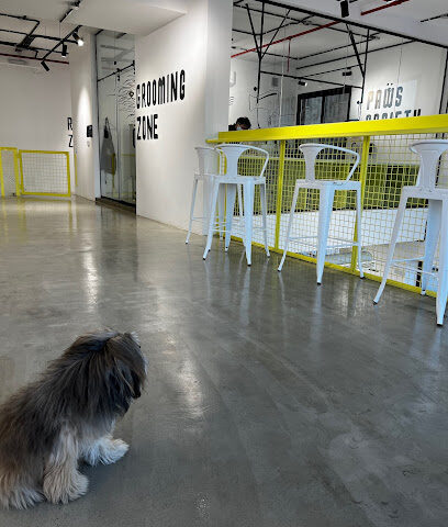 Paws Society / باوز سوسايتي - Jeddah - +966 56 077 5565