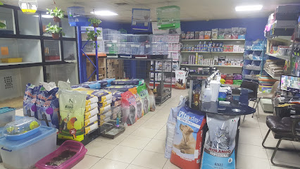 ابداع الطبيعة للحيوانات الاليفه والطيور - Dammam - +966 54 399 8984