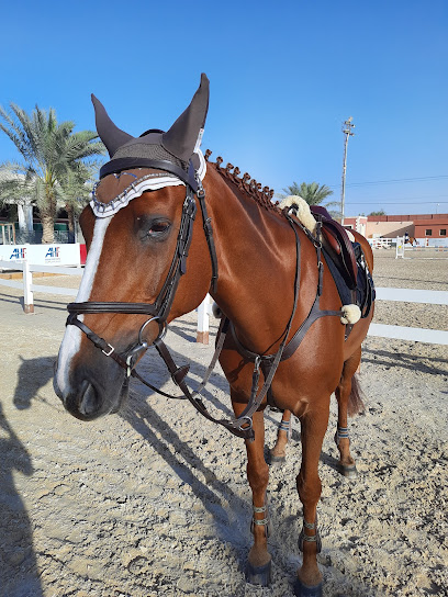 MAYADEEN EQUESTRIAN CENTER - Saudi Arabia|13373|Unnamed Road