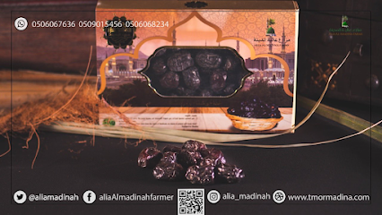 Alia Al Madinah Farm - Al Madinah Al Munawwarah - +966 50 606 8234