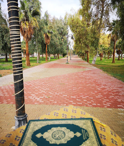 منتزة - Arar -