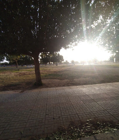 حديقة عامه - Tabuk -