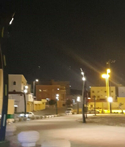Neighborhood Park - Abha -