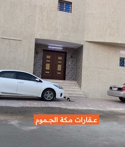 الجموم - Al Jumum -
