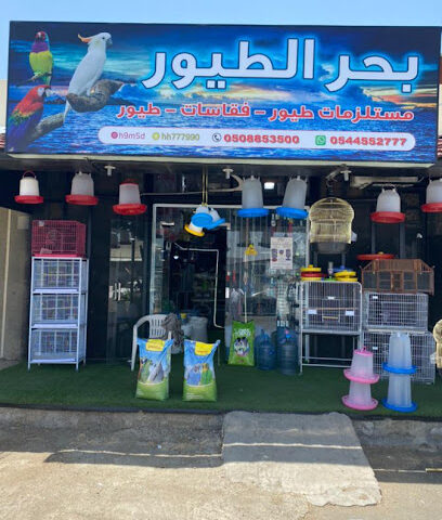 بحر الطيور - Taif - +966 54 455 2777