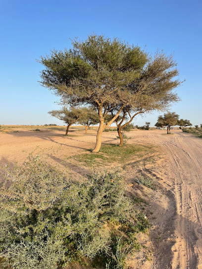 شعيب المطية - Saudi Arabia|Ar Rass 58832|QFG4+7C