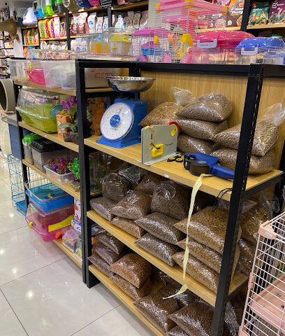 الخطوات الأليفة pet steps - Jeddah - +966 56 256 7594