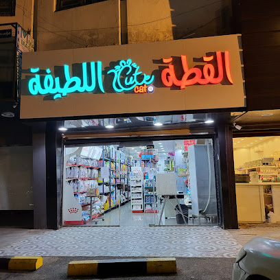 القطة اللطيفة Cute Cat - Jeddah - +966 56 571 8788