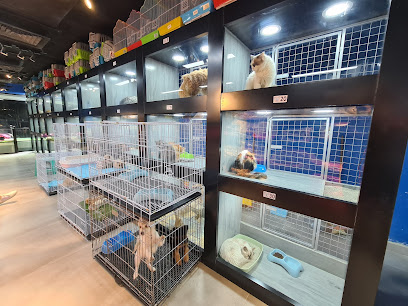 SMART PET - Riyadh - +966 53 600 5159