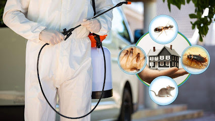 شركة مكافحة حشرات بالرياض شركة التعاون رش مبيدات مكافحة الصراصير والنمل الابيض والفئران والقوارض والوزغ بالرياض - Riyadh - +966 50 822 6439