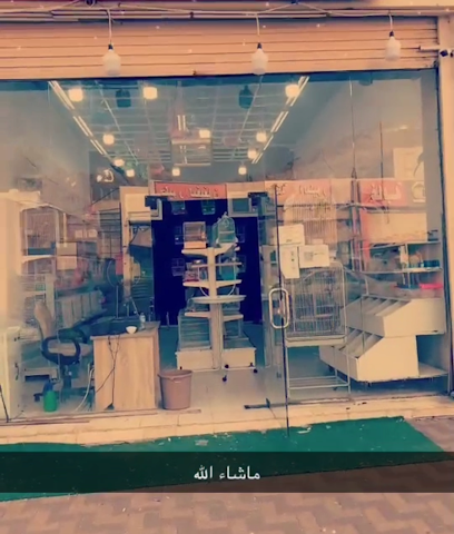 اوبلاين - Mecca - +966 56 901 2194