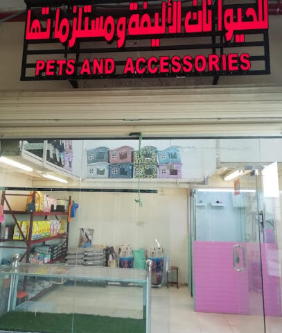 SA MINI CATS - Riyadh - +966 50 312 1421