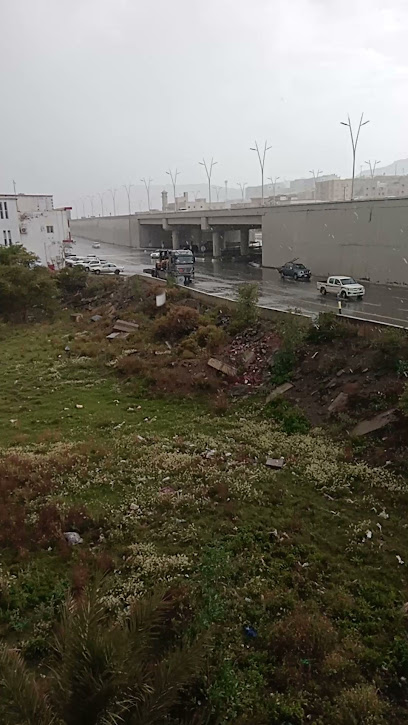 جبل الحمراء - Saudi Arabia|Al Bahah 65537|BAAA7462، 7462 جندب بن زهير بن الحارث، 3524|حي المرتفعات