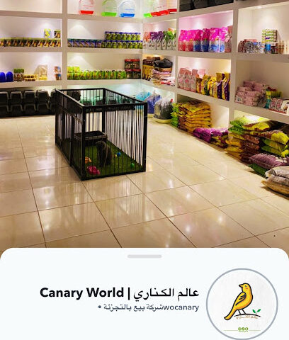 عالم الكناري لبيع الطيور والحيوانات الأليفة ومستلزماتها - Arar - +966 53 183 5552